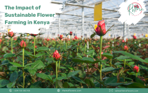 flower farming in kenya